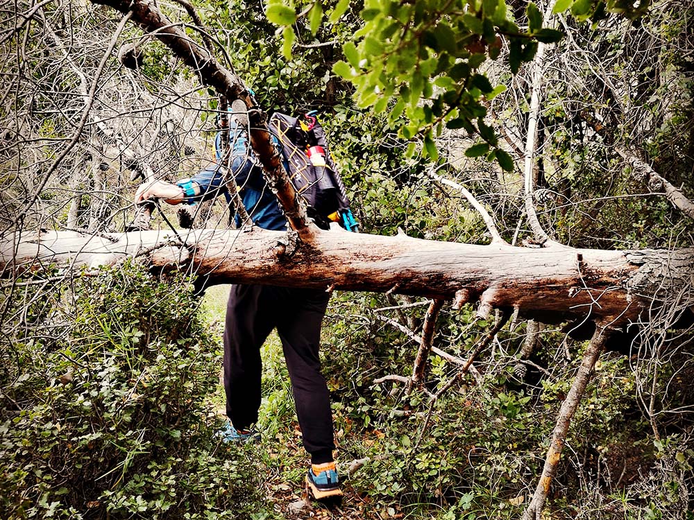 Saronic Activities Trail Running